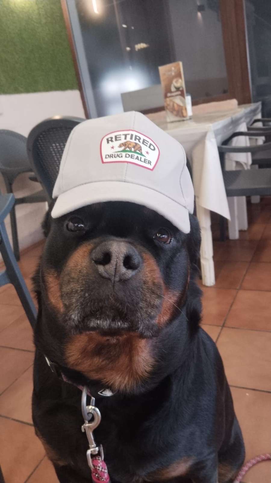 Rocky — Retired Drug Dealer